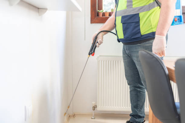 Best Mosquito Control Services  in Chepachet, RI