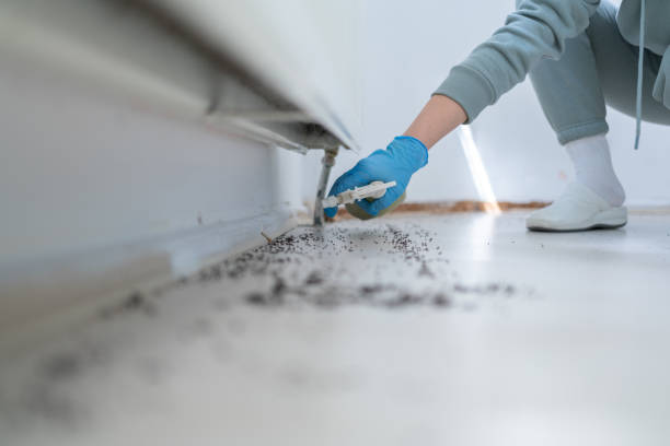 Chepachet, RI Pest Control Company